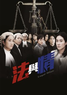 Закон и любовь / Юридическое дело / Legal Affair / Fa Yu Qing / 法与情 / 法與情