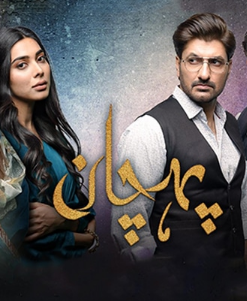 Я -личность / Pehchaan