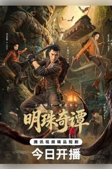 Тайна утраченной жемчужины / Легенда о Минчжу / Candle in the Tomb / Gui Chui Deng / The Secret of the Lost Pearl